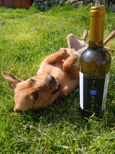 Domaine Oriol